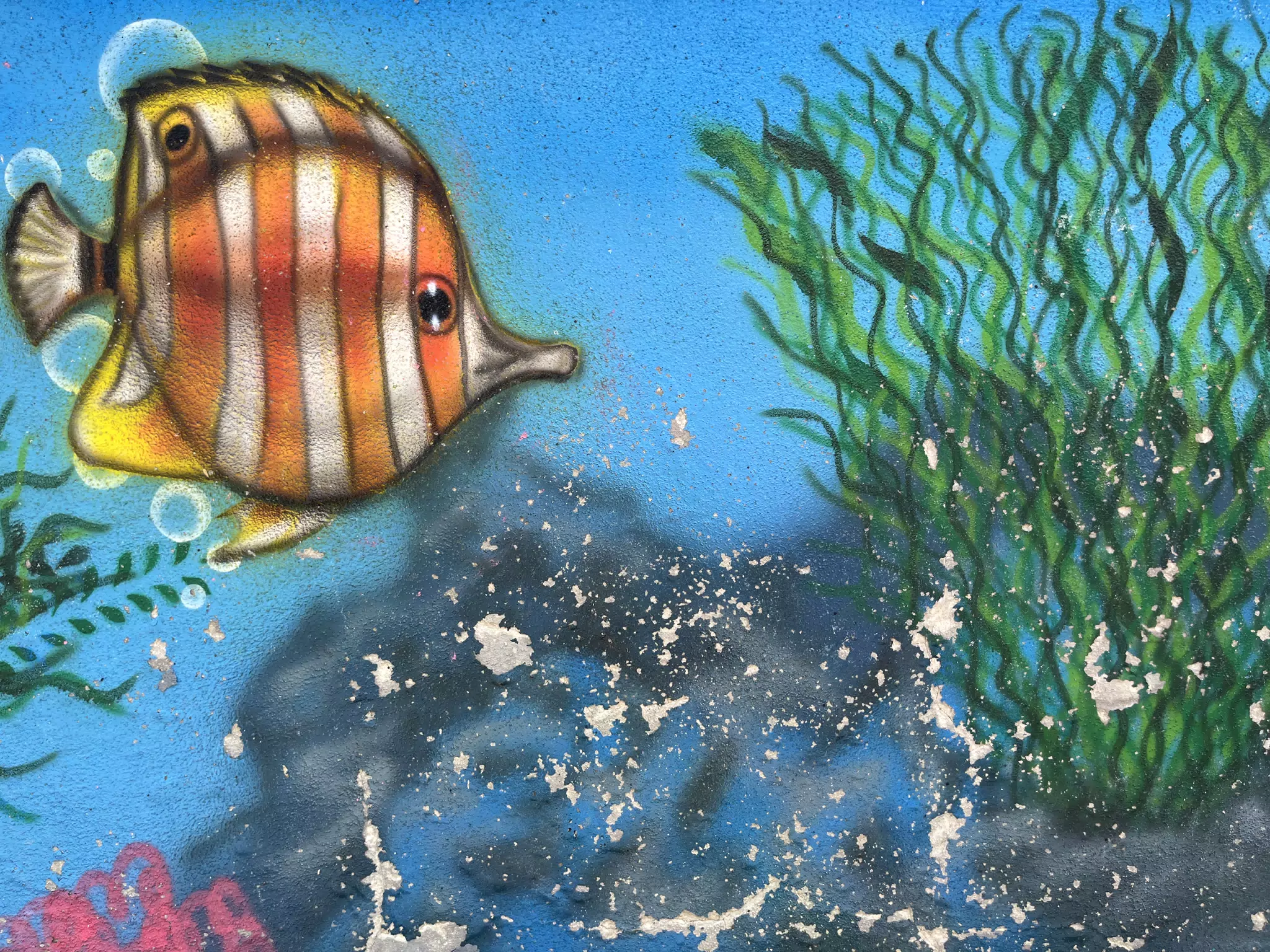 Fish Mural on the Poneloya Seawall, Nicaragua