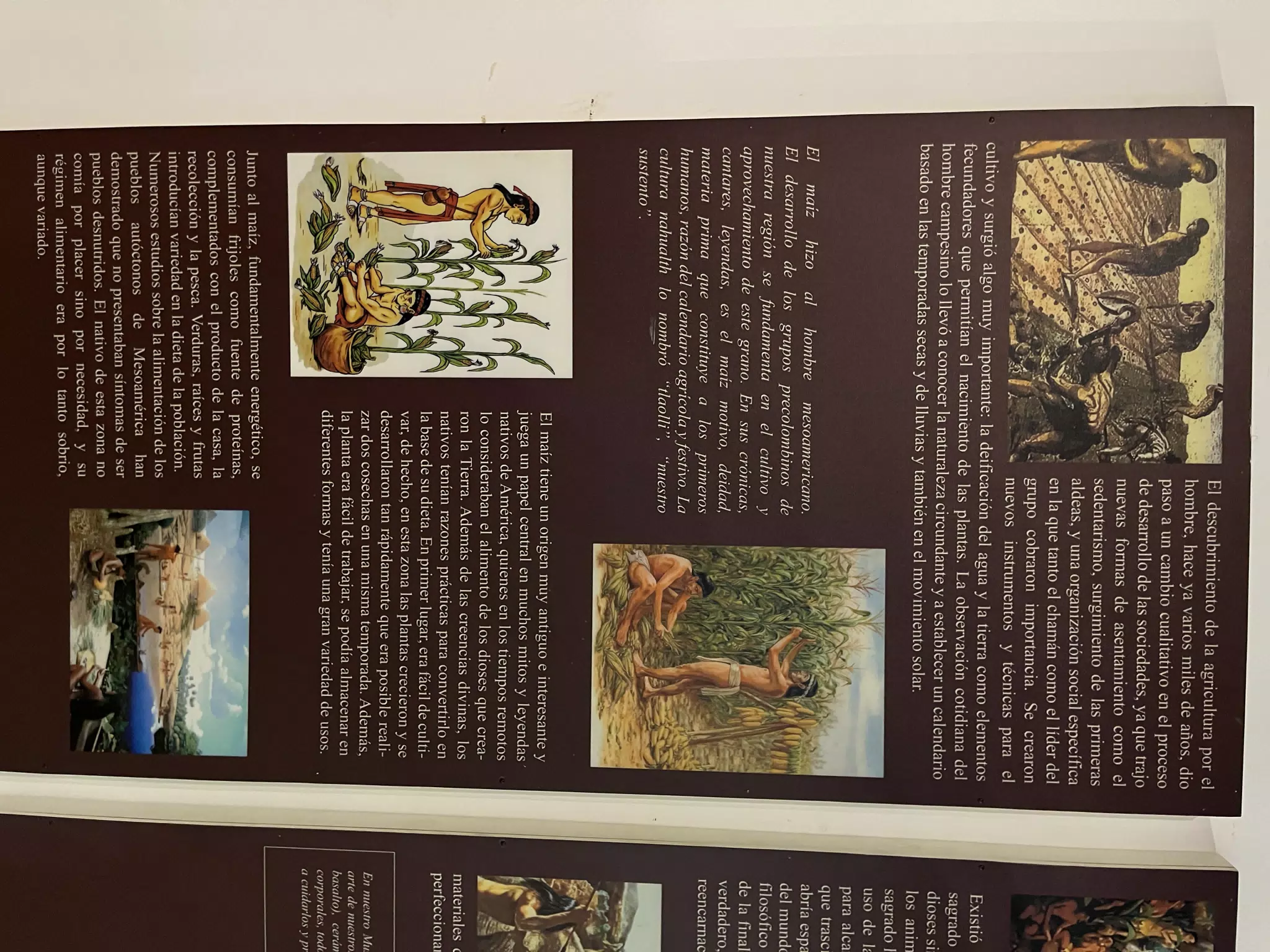 Chorotega-Nicarao Enrique Mantica Berio D Museo