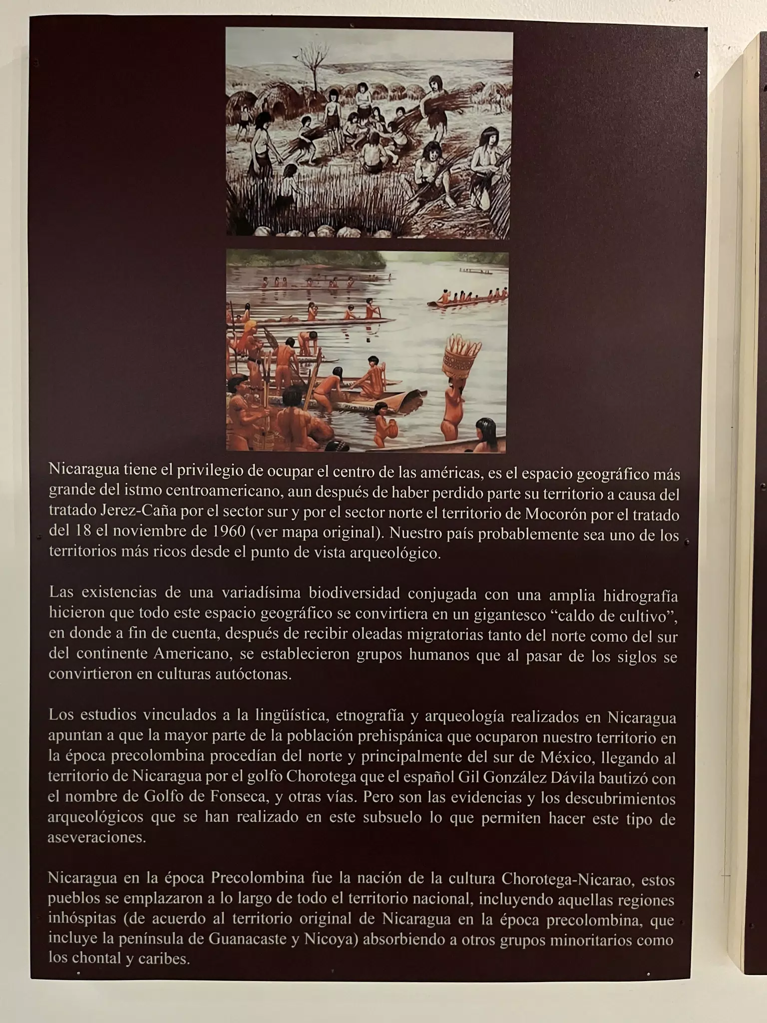 Chorotega-Nicarao Enrique Mantica Berio D Museo