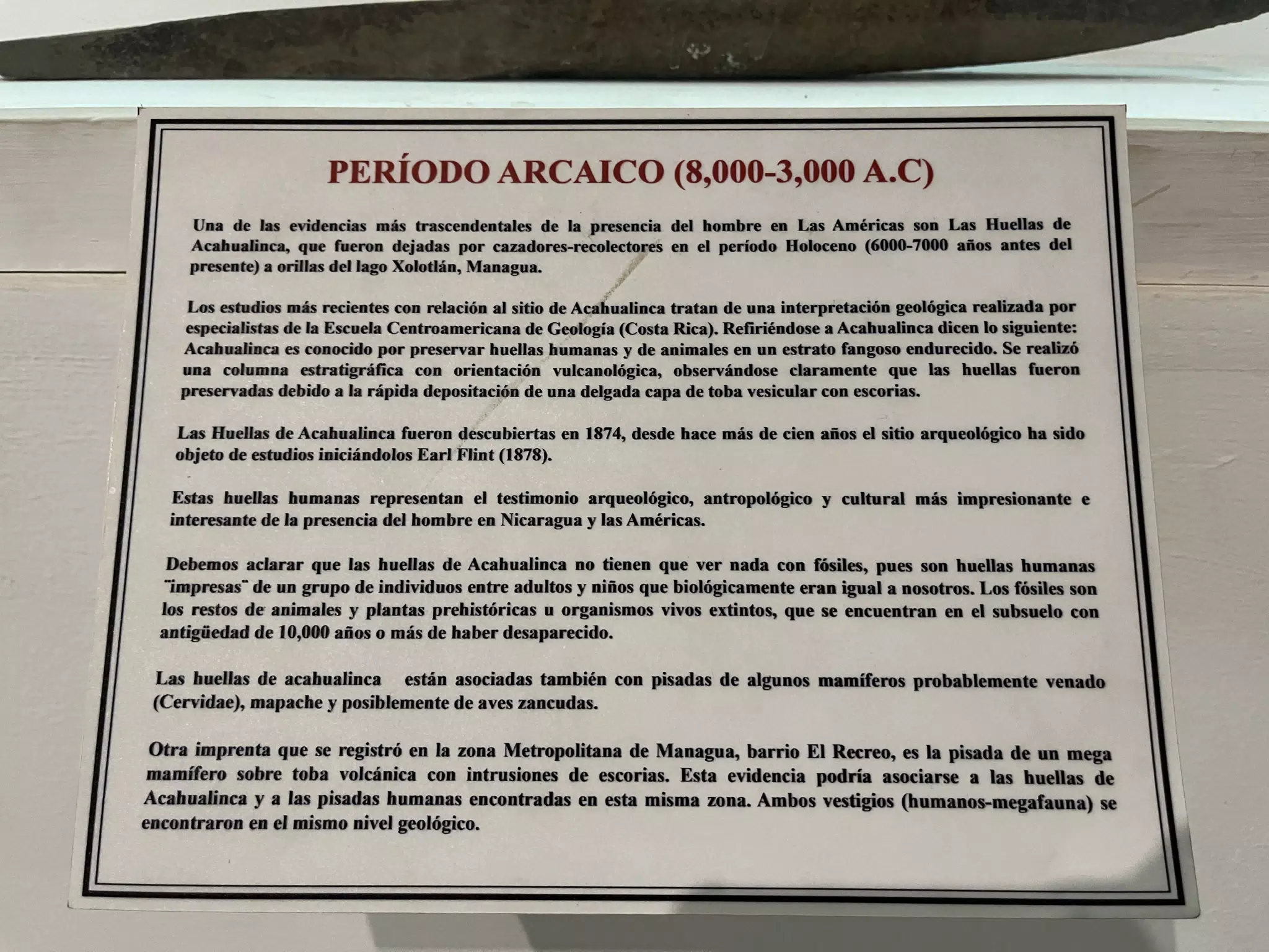 Chorotega-Nicarao Enrique Mantica Berio D Museo