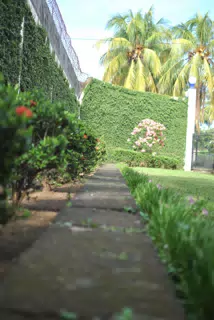 Sutiava Garden Flowers, Nicaragua