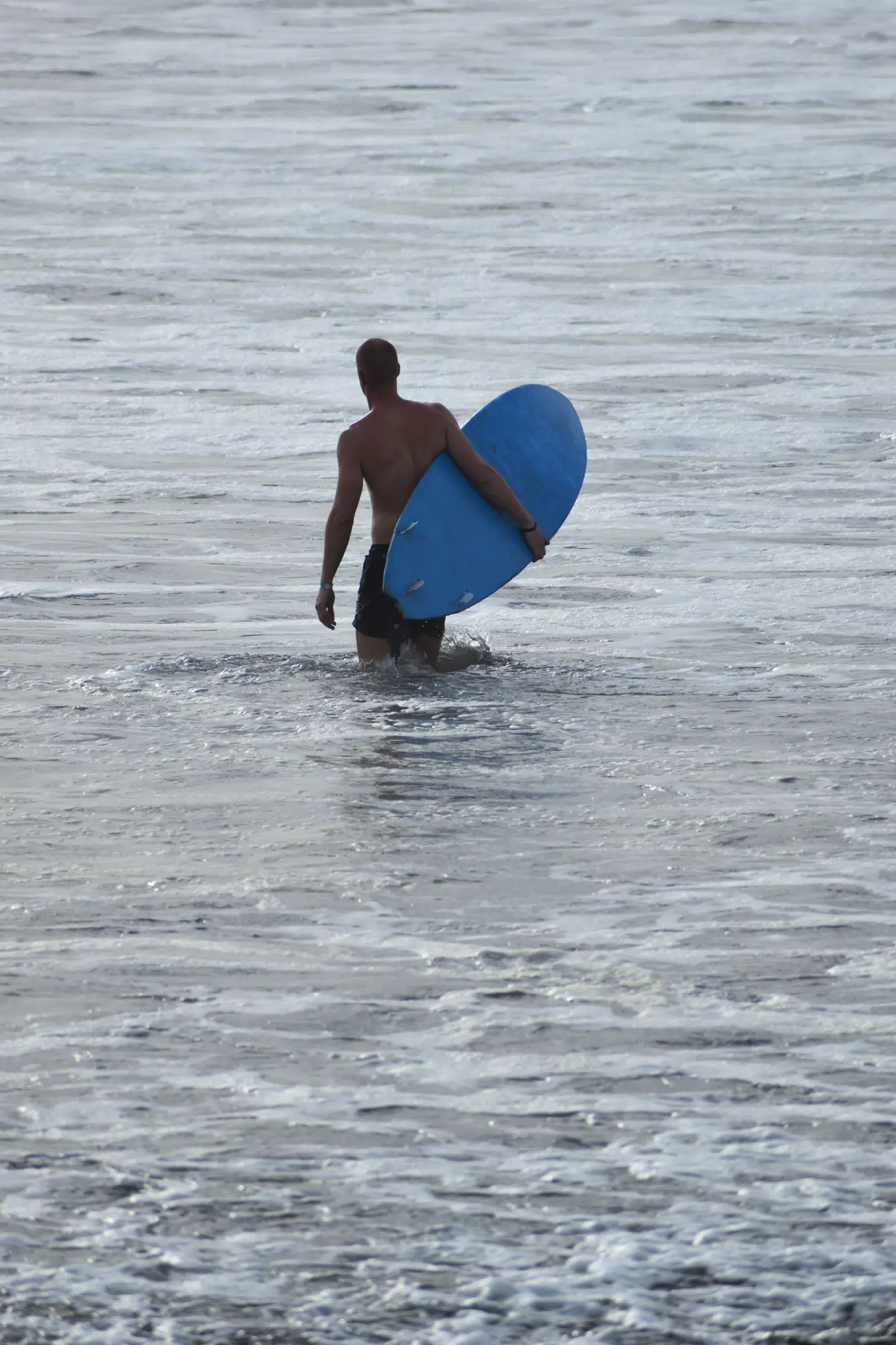 DSC_0503
