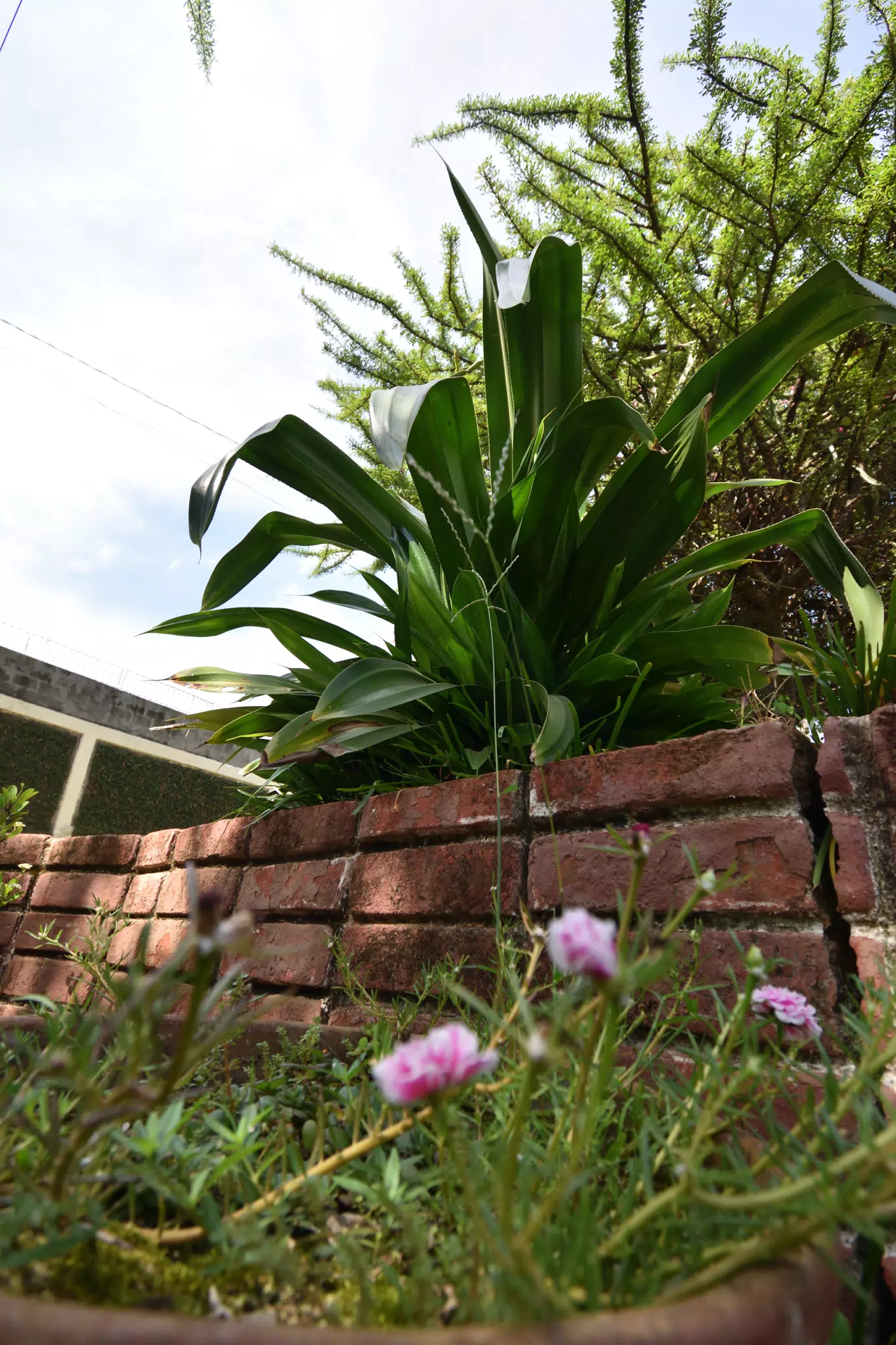 DSC_0467