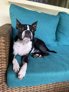 Clive on the Veranda