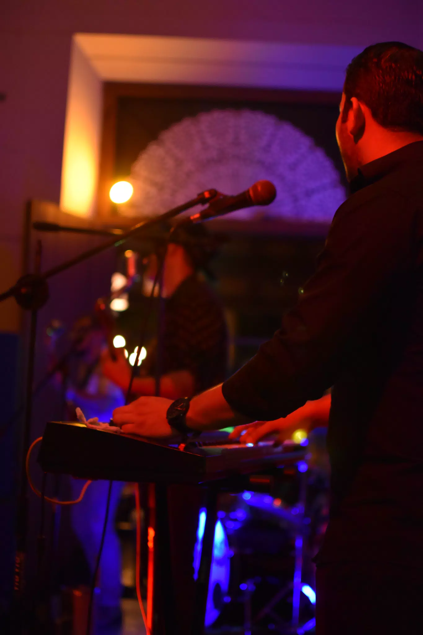 Images from Mario Sacasa Performance at ViaVia Leon