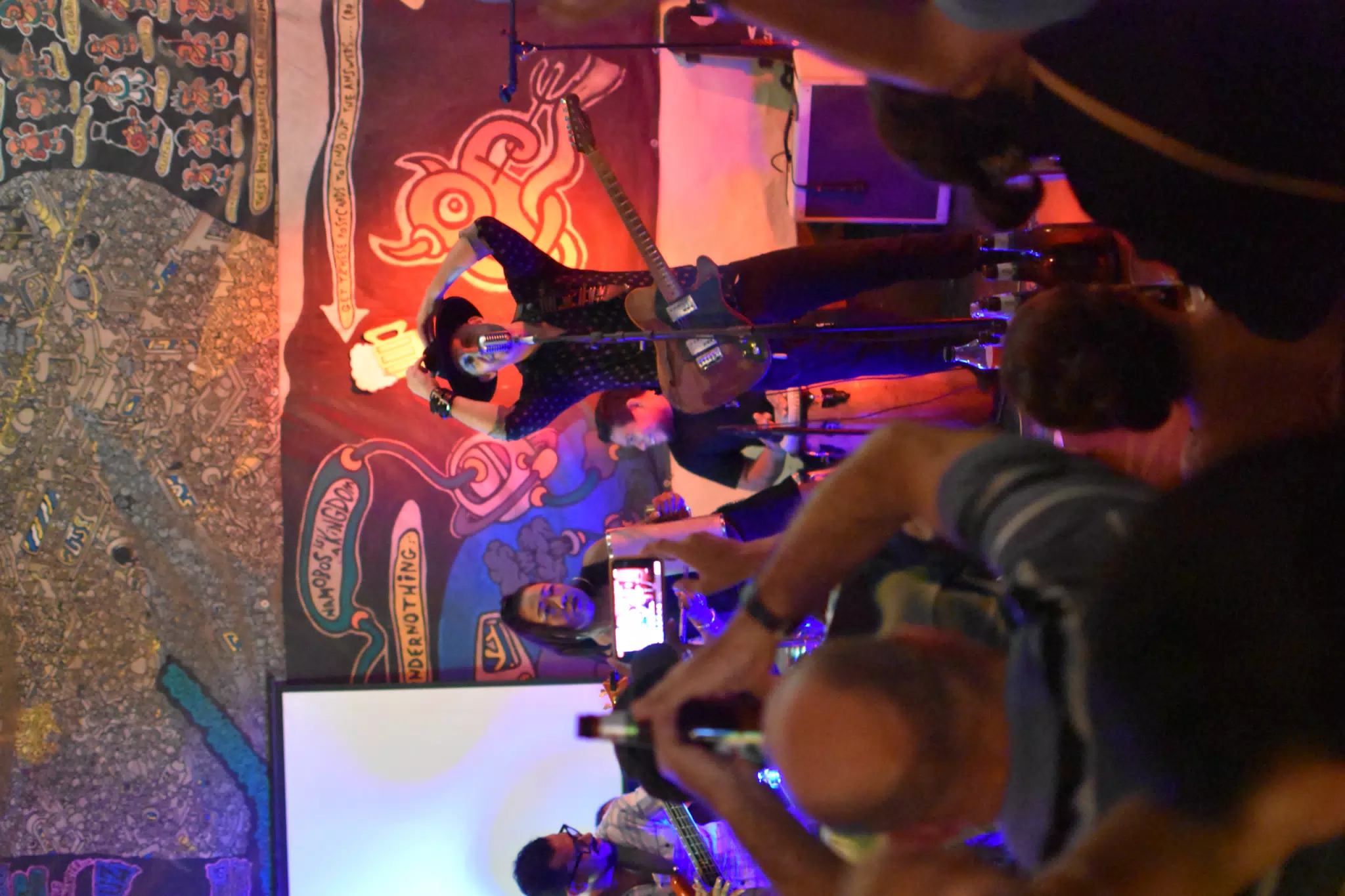 Images from Mario Sacasa Performance at ViaVia Leon