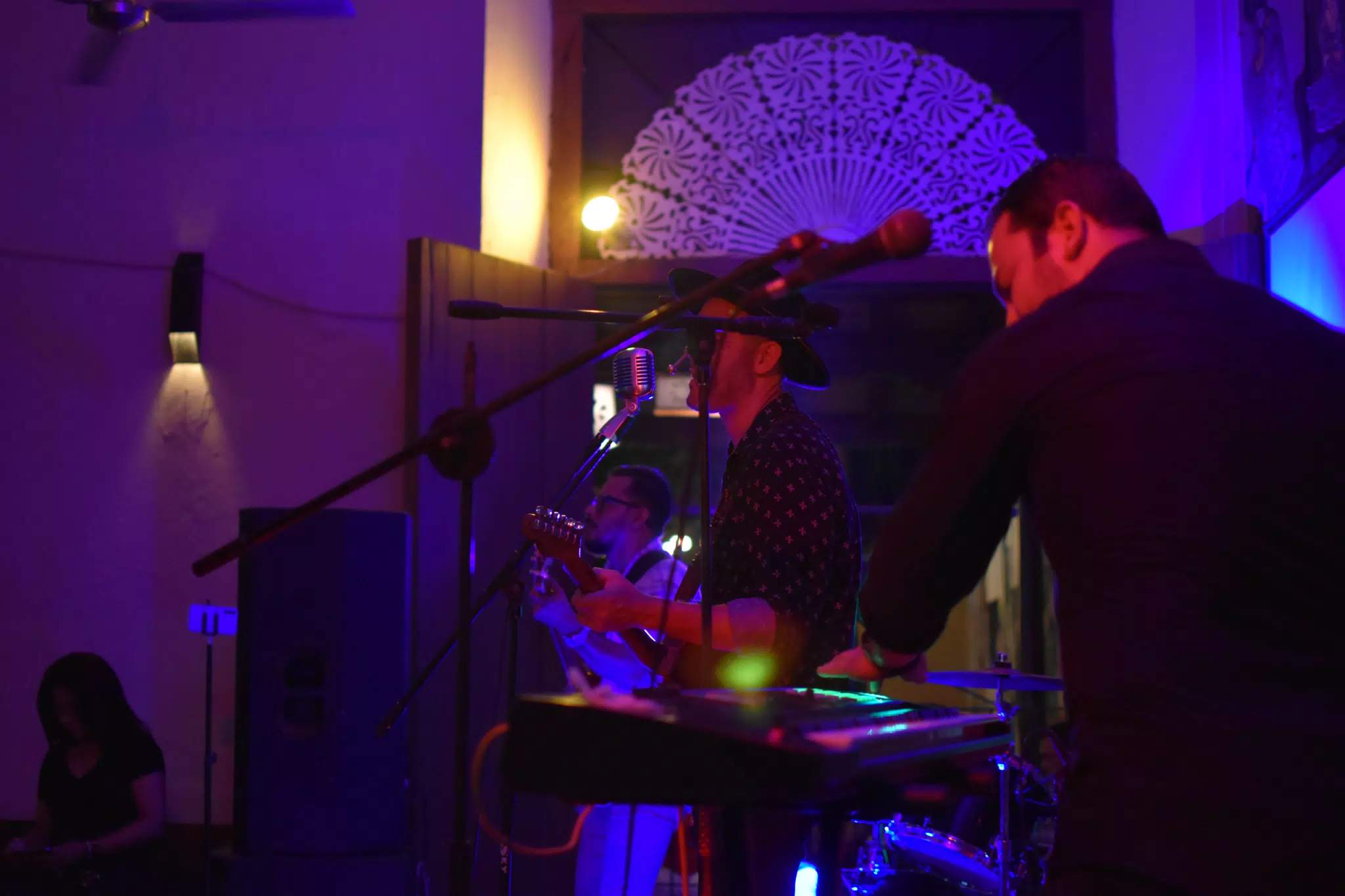 Images from Mario Sacasa Performance at ViaVia Leon