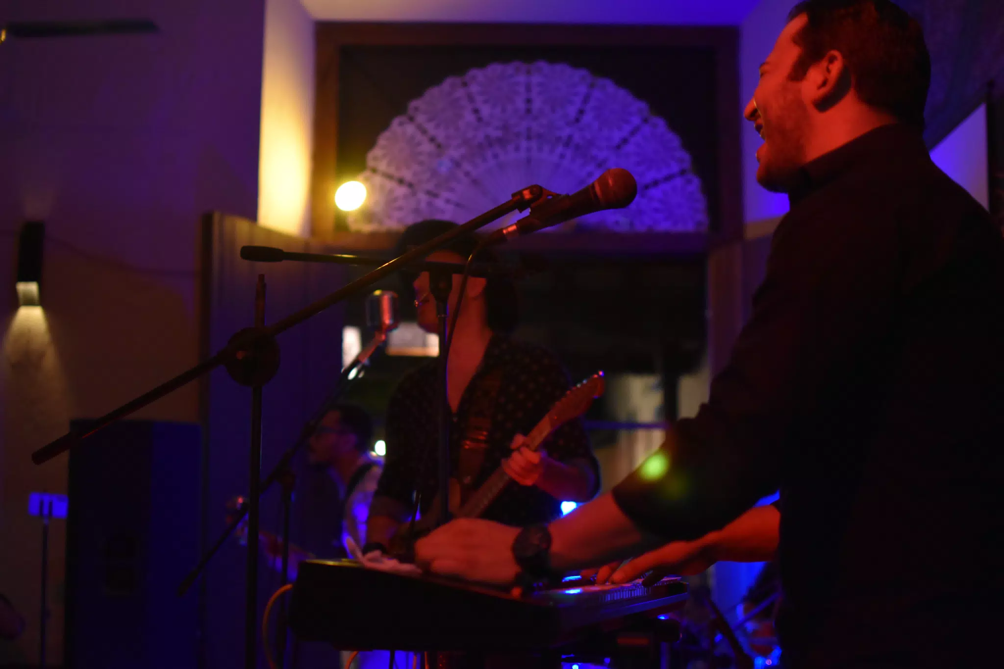 Images from Mario Sacasa Performance at ViaVia Leon
