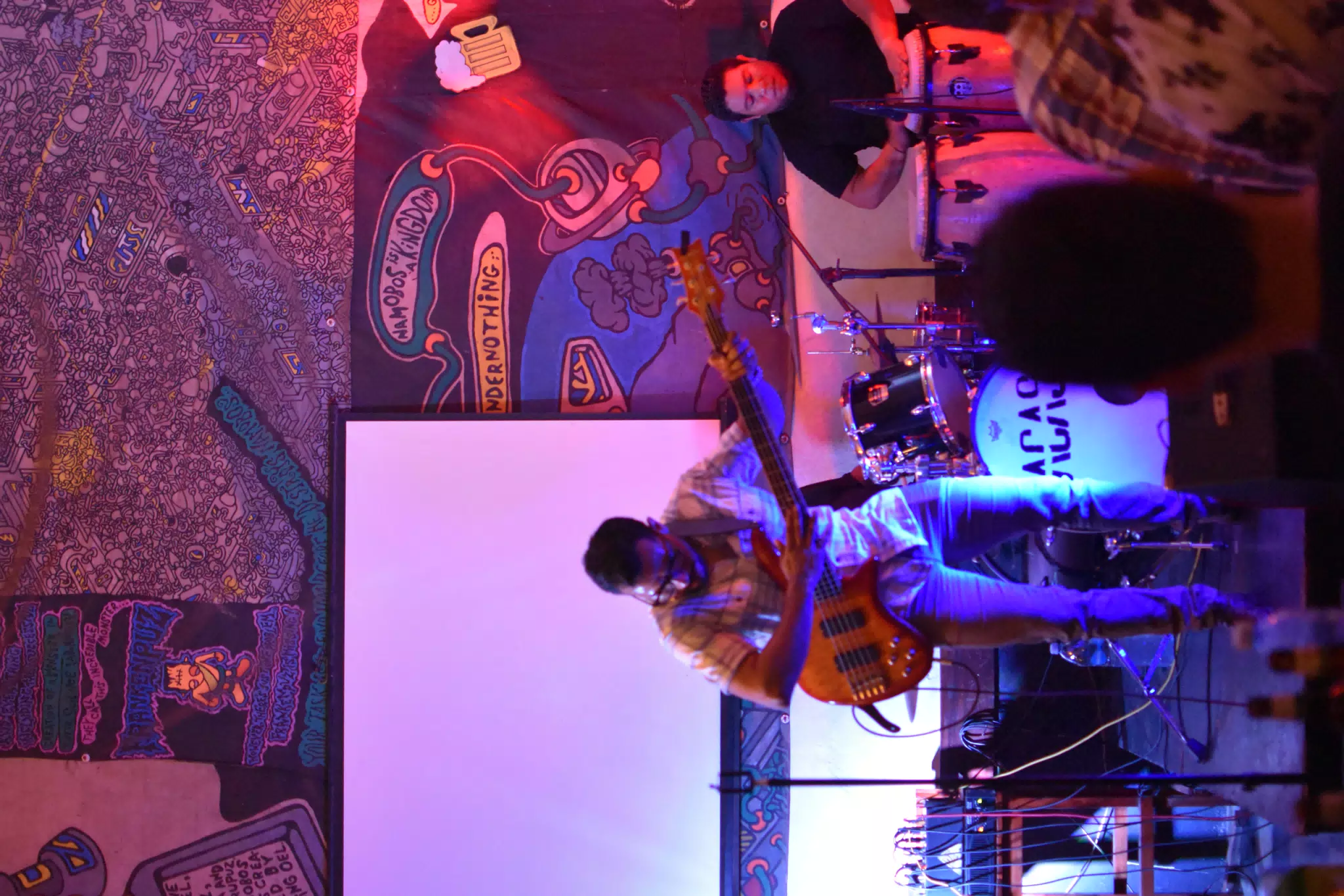 Images from Mario Sacasa Performance at ViaVia Leon