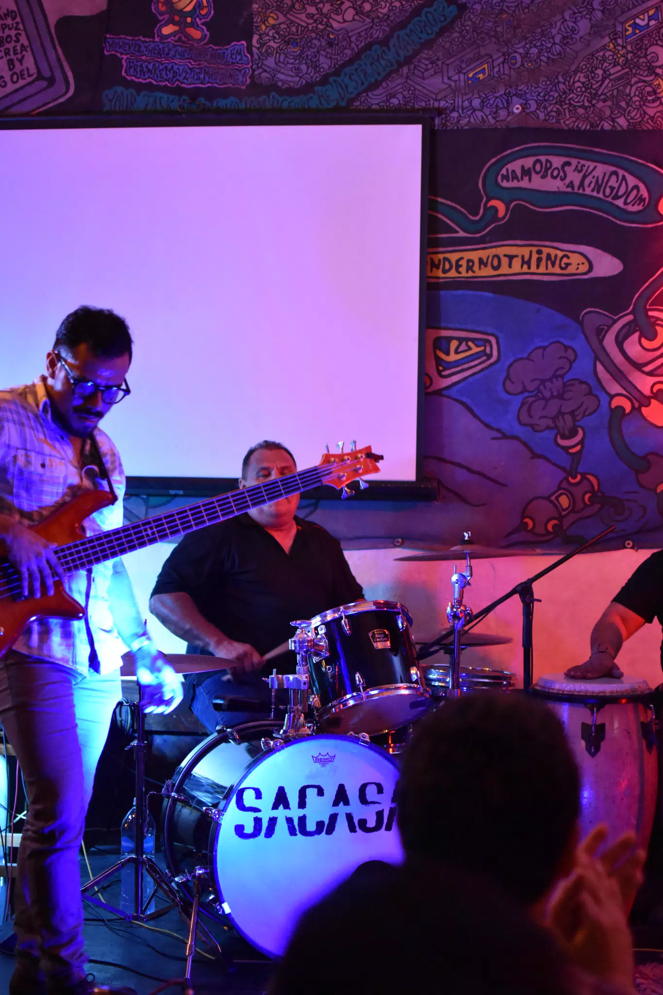 Images from Mario Sacasa Performance at ViaVia Leon