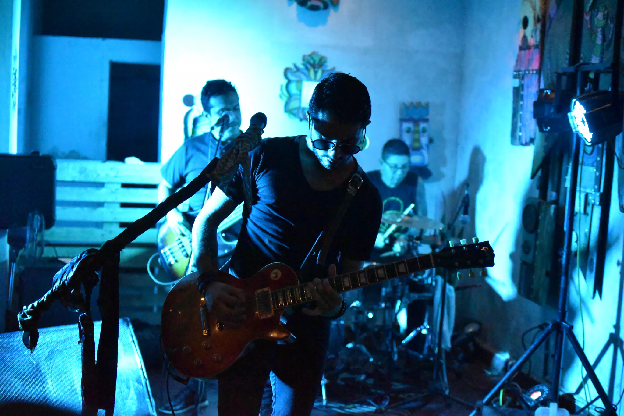 DSC_1550
