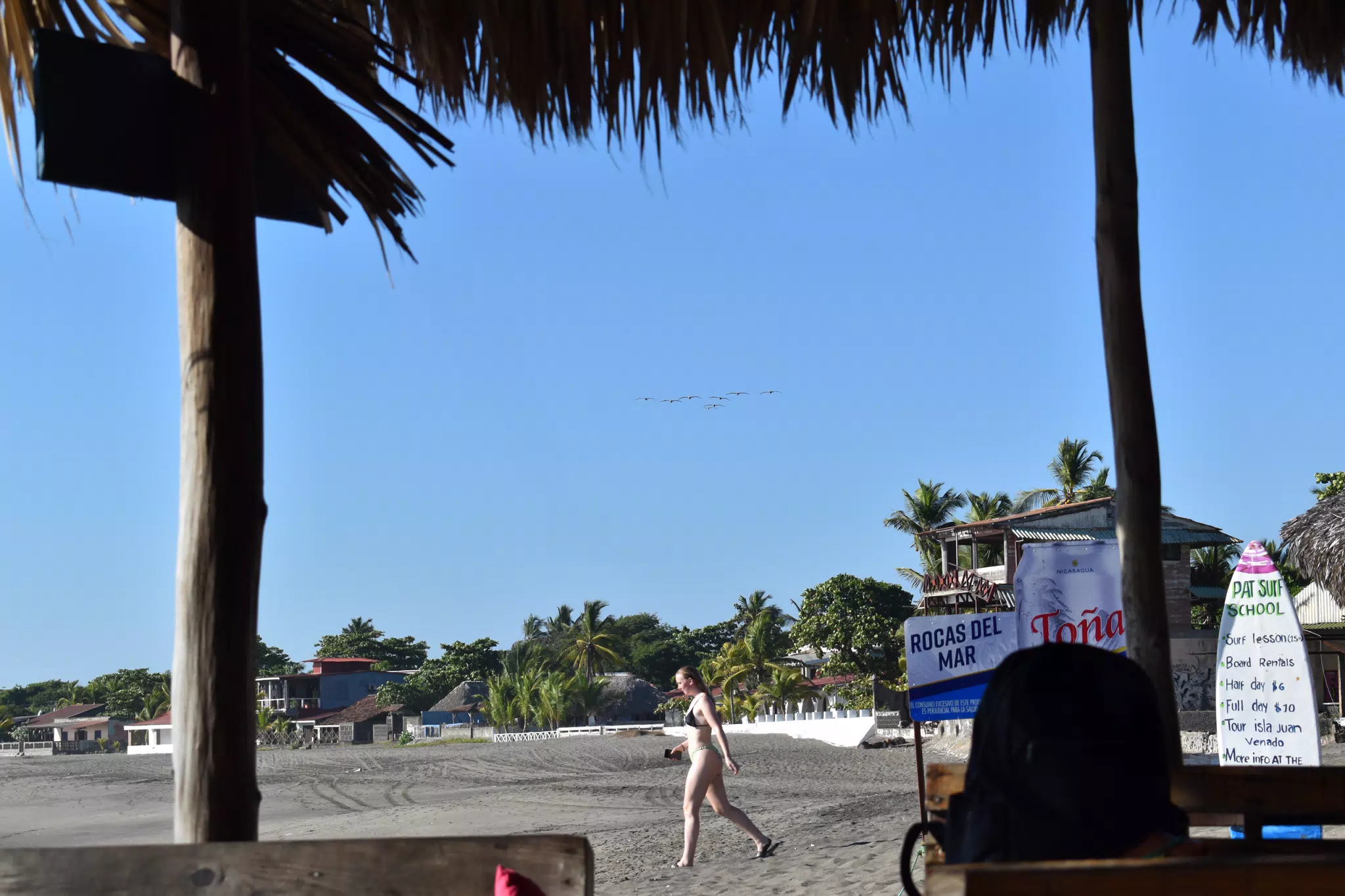 Pelicans over Playa Roca in Las Peñitas, Nicaragua