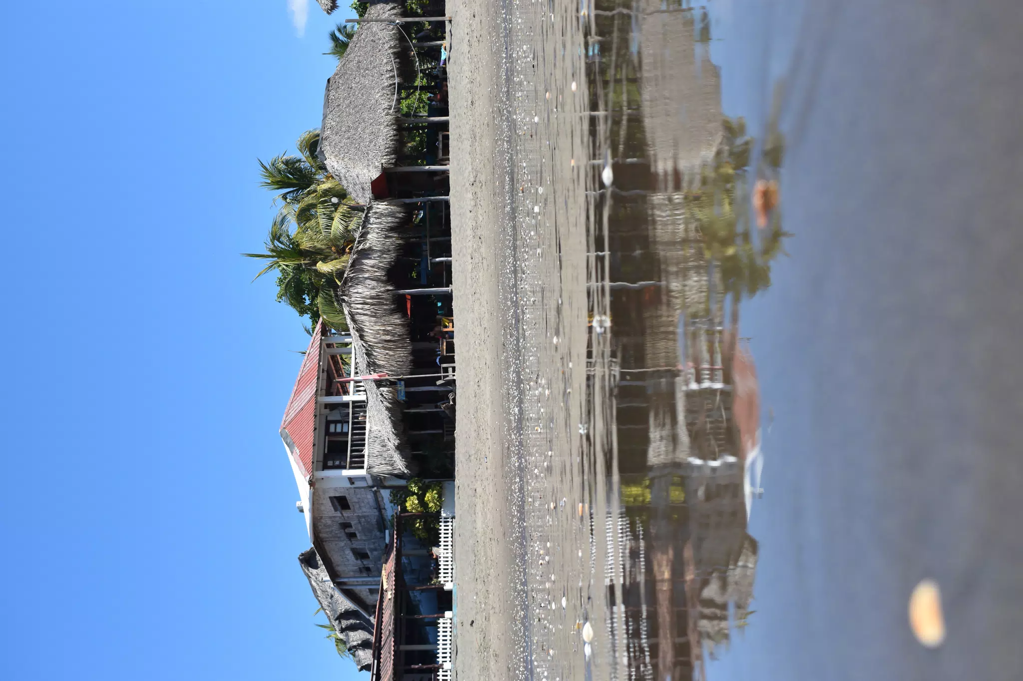 DSC_1805