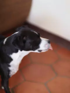 01075324