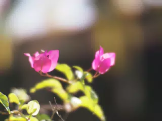 01075320