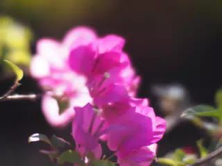 01075319