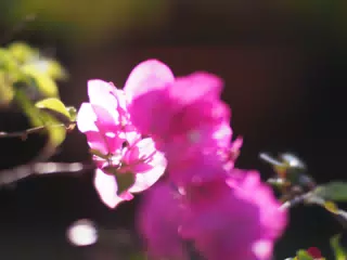 01075316