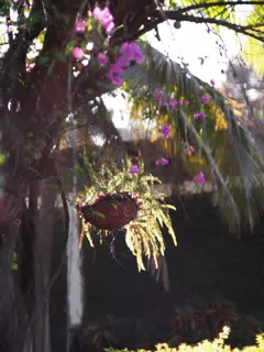 01075315