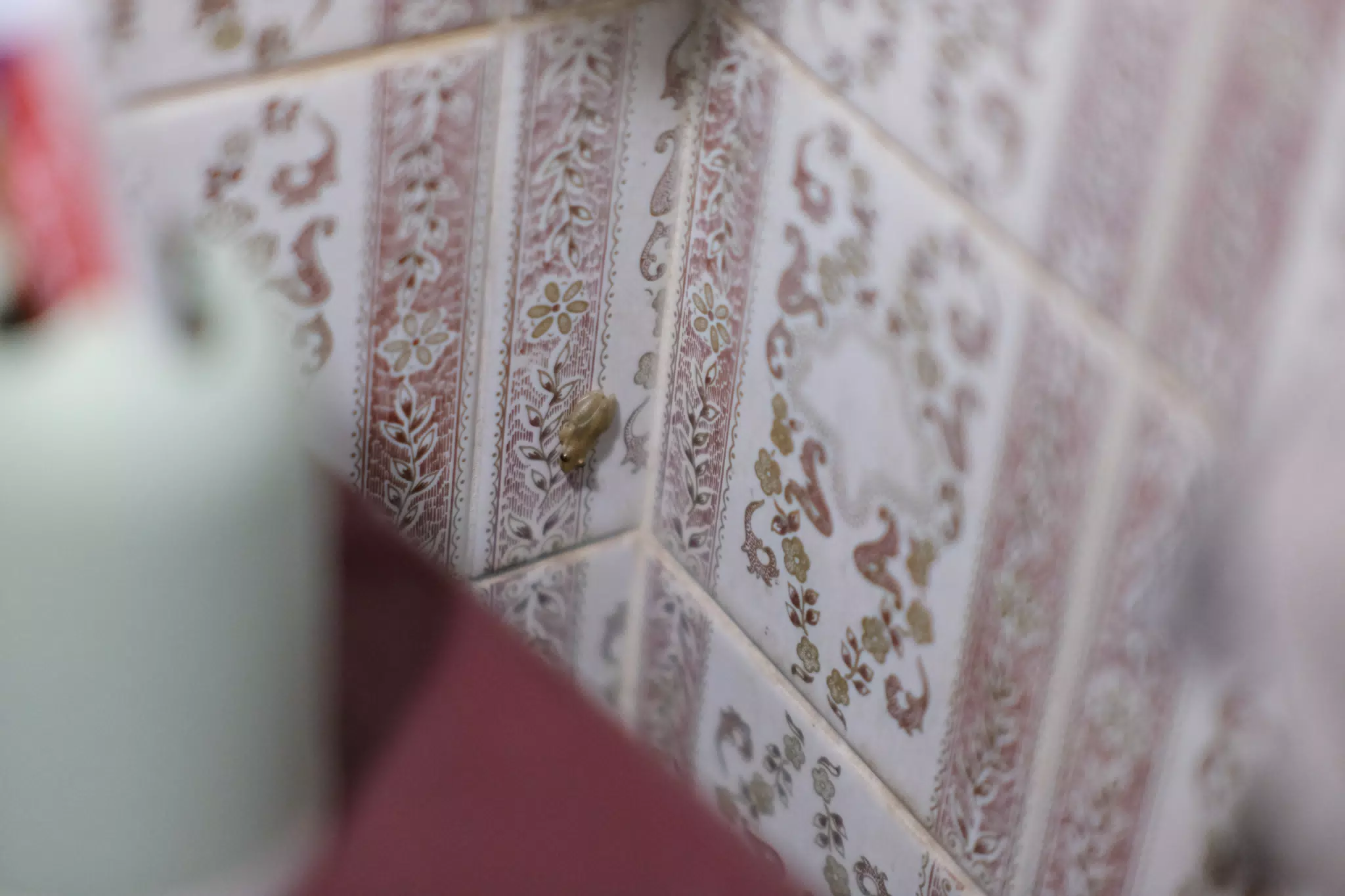 Bathroom Frog