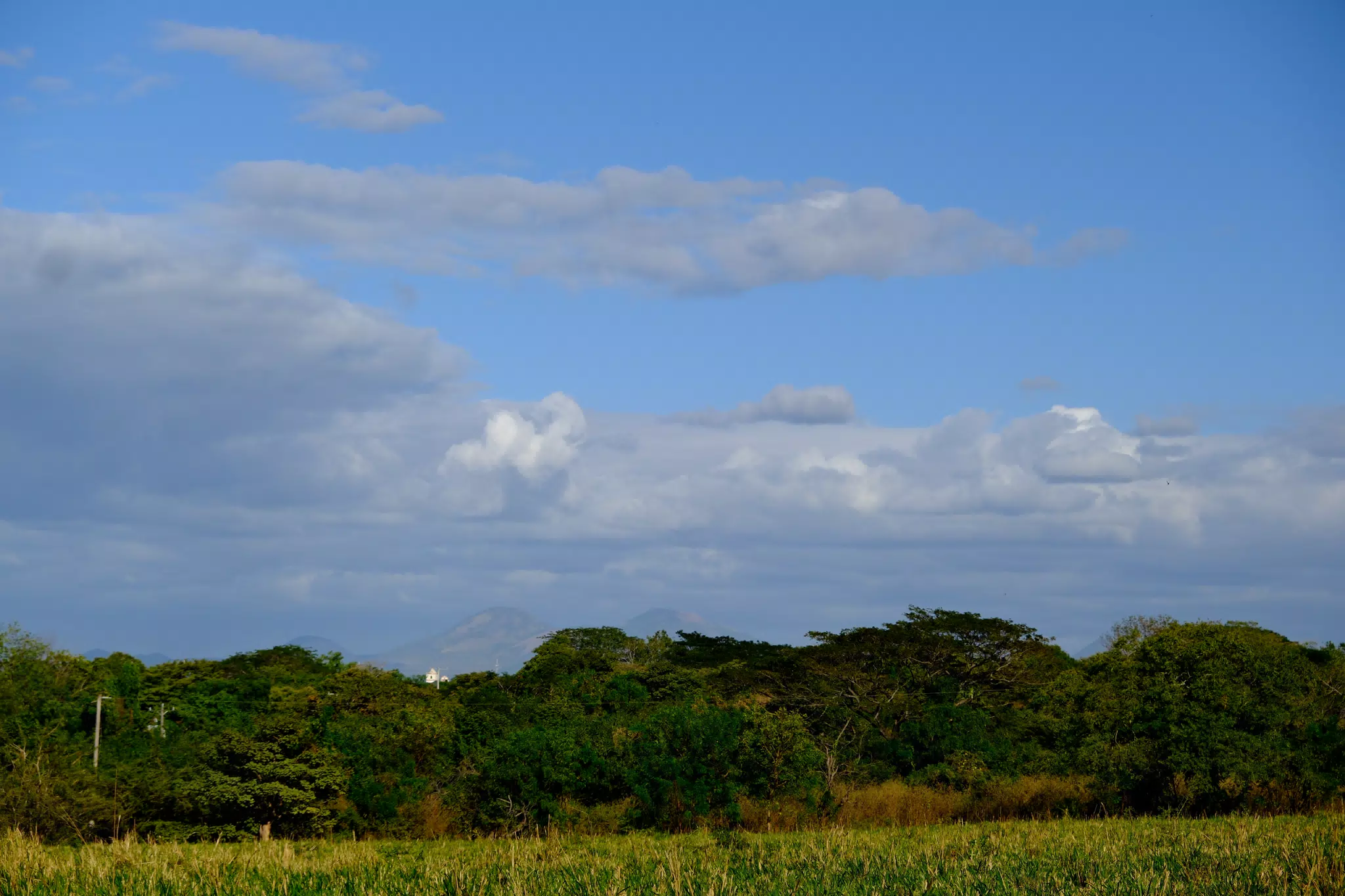 DSCF0142