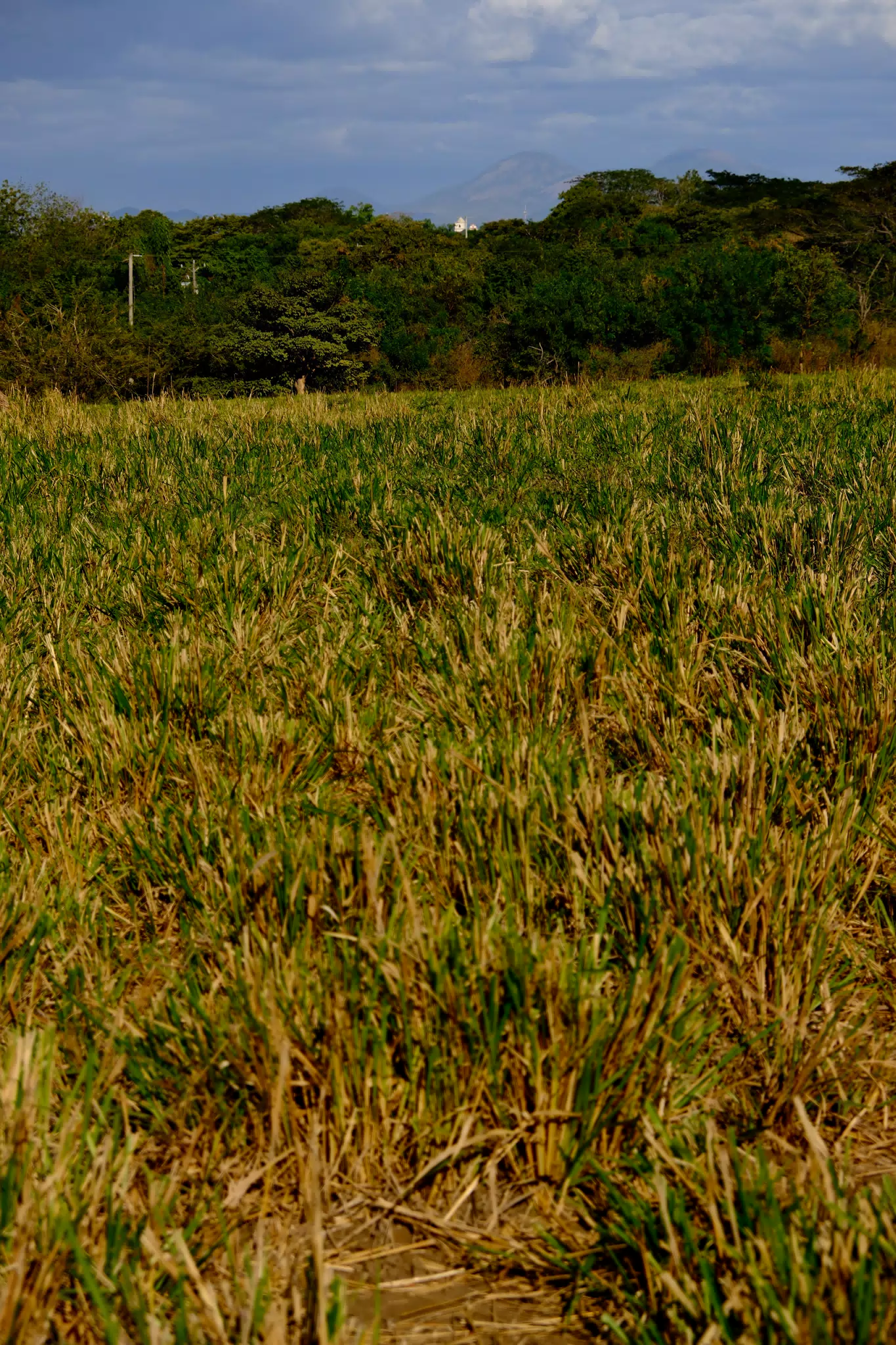 DSCF0138