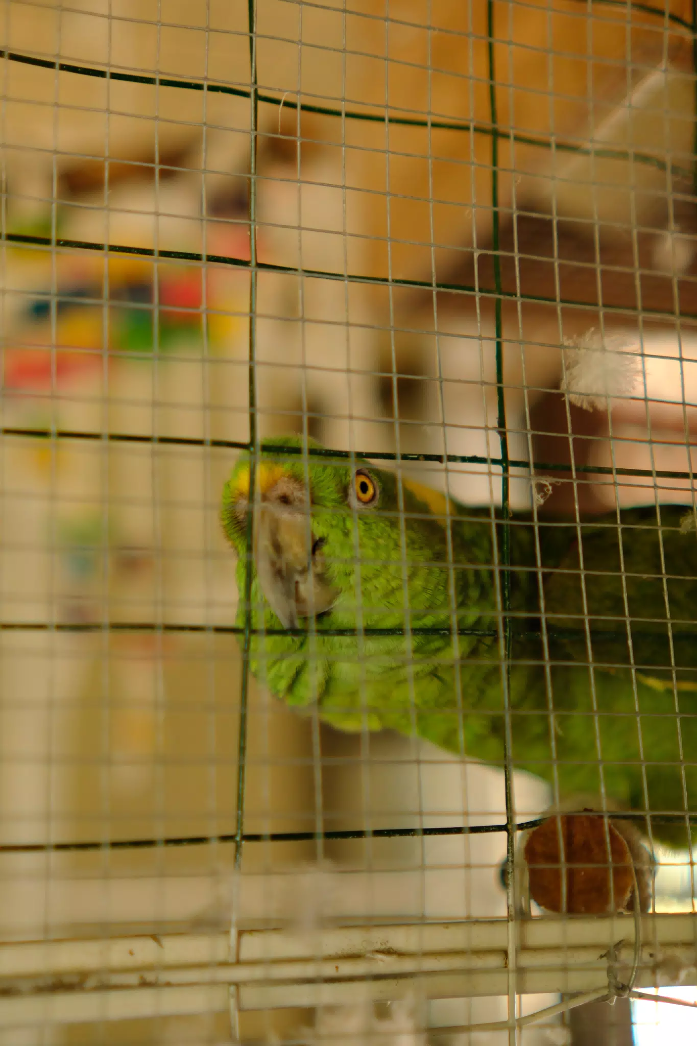 DSCF0009