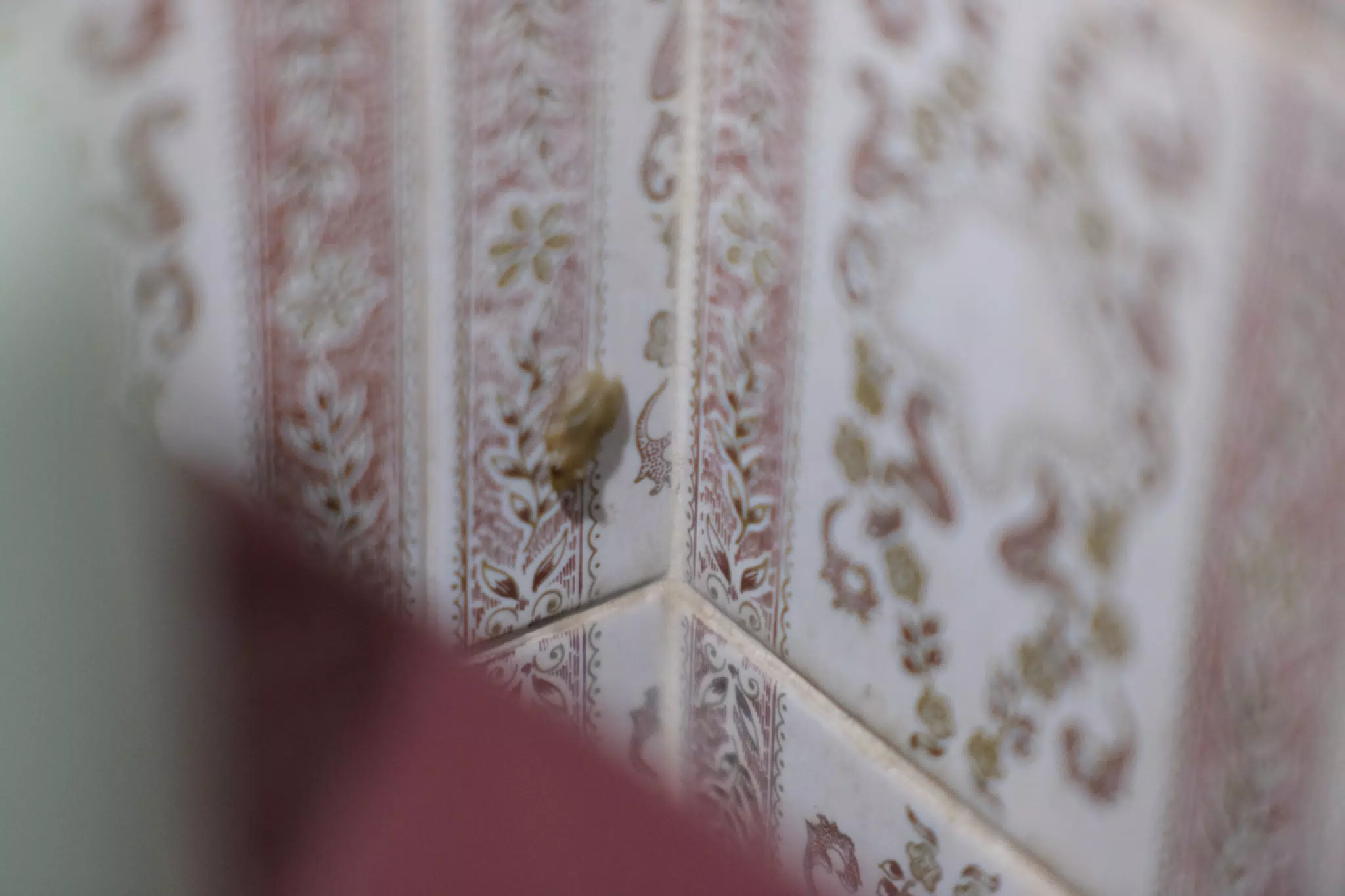 Bathroom Frog