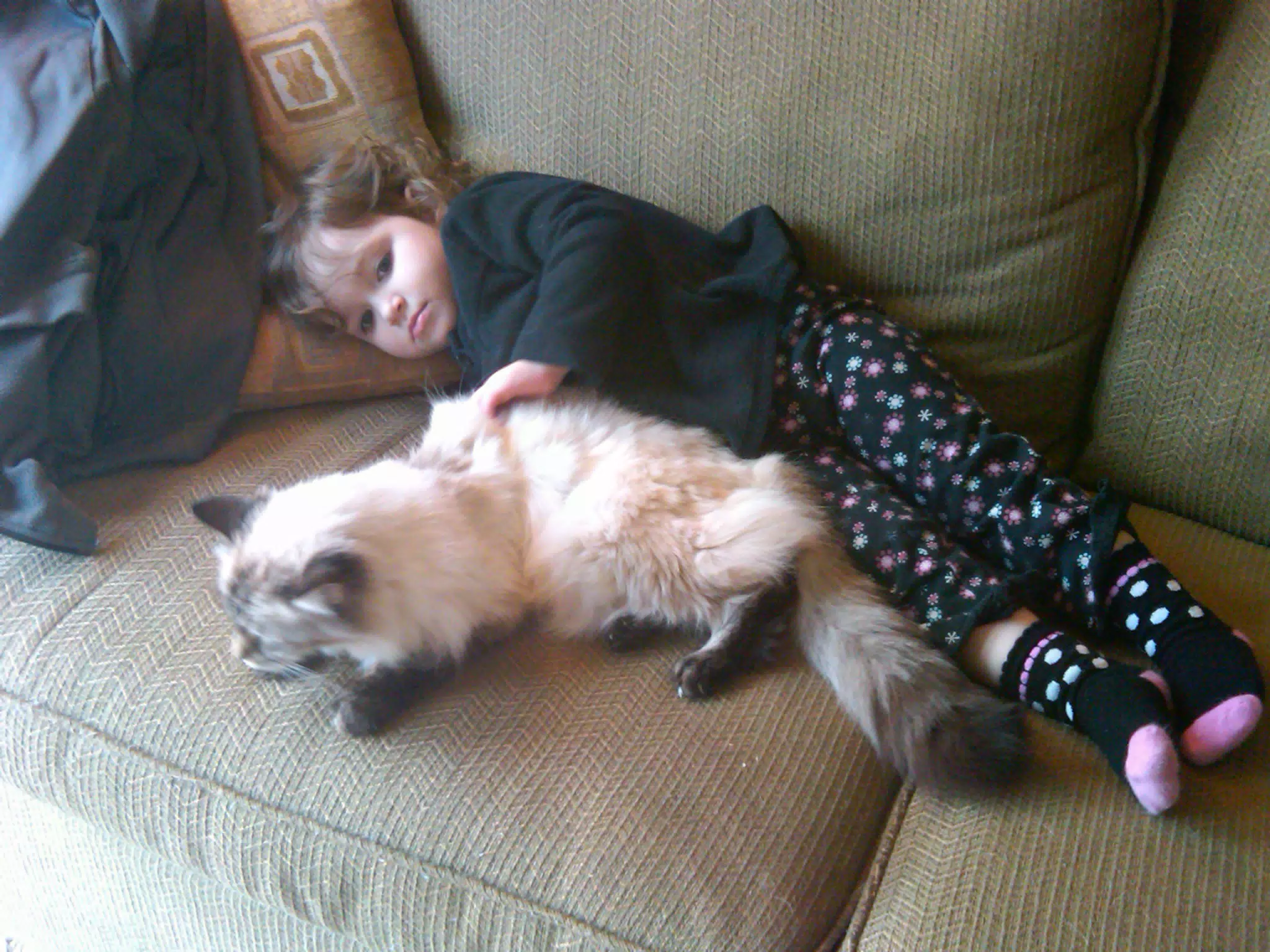 Liesls First Cat