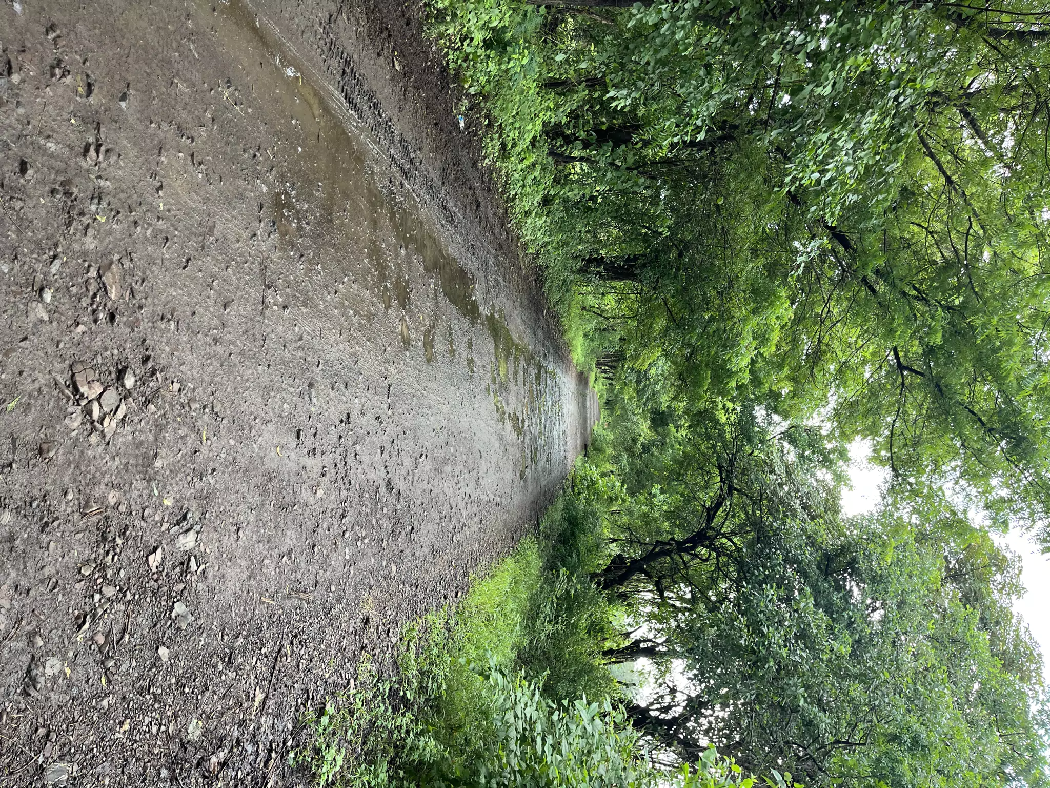 Nicaragua Back Road After the Rain