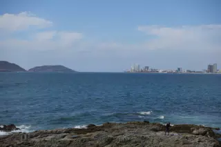 DSC00353