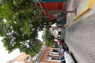 DSC00354