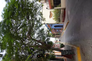 DSC00355