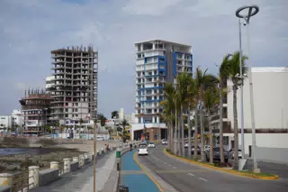 DSC00350