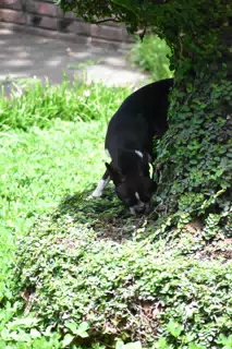 DSC_1905
