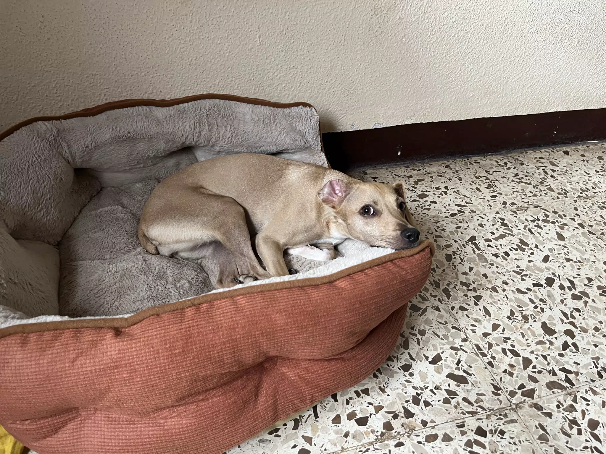 Betty in the Office