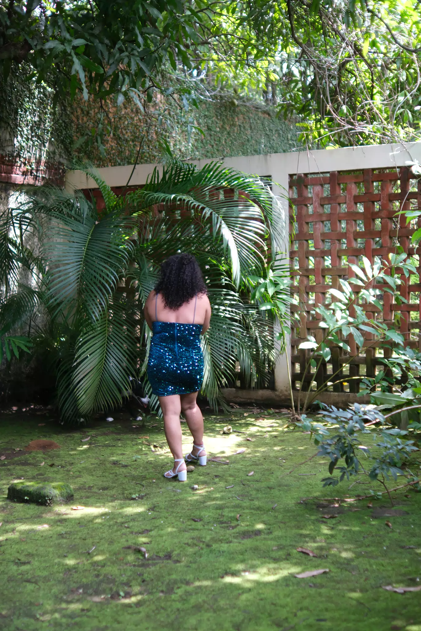 DSCF1496