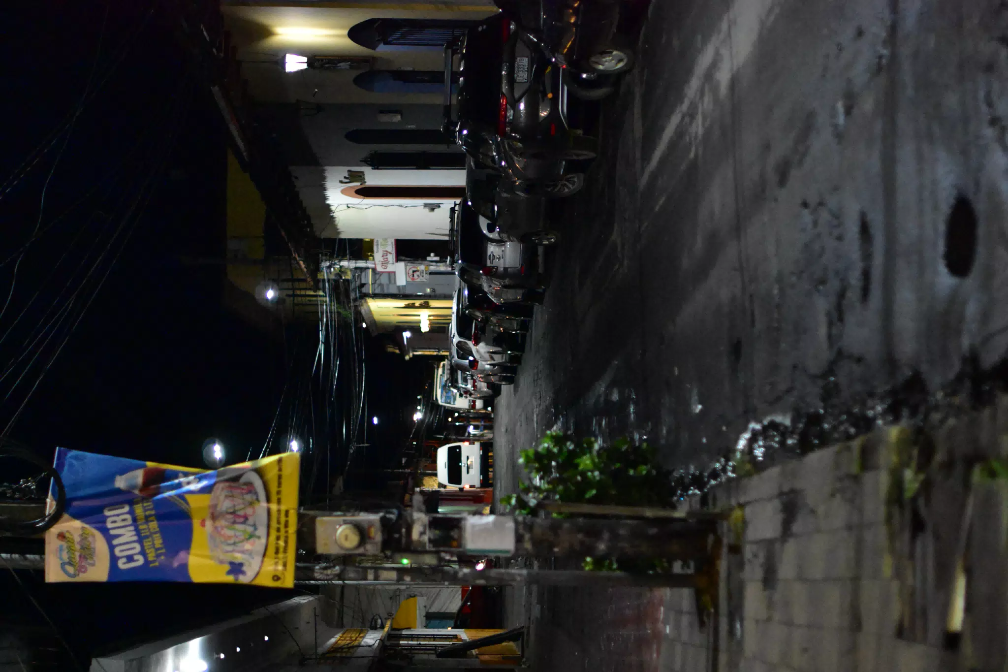DSC_2267