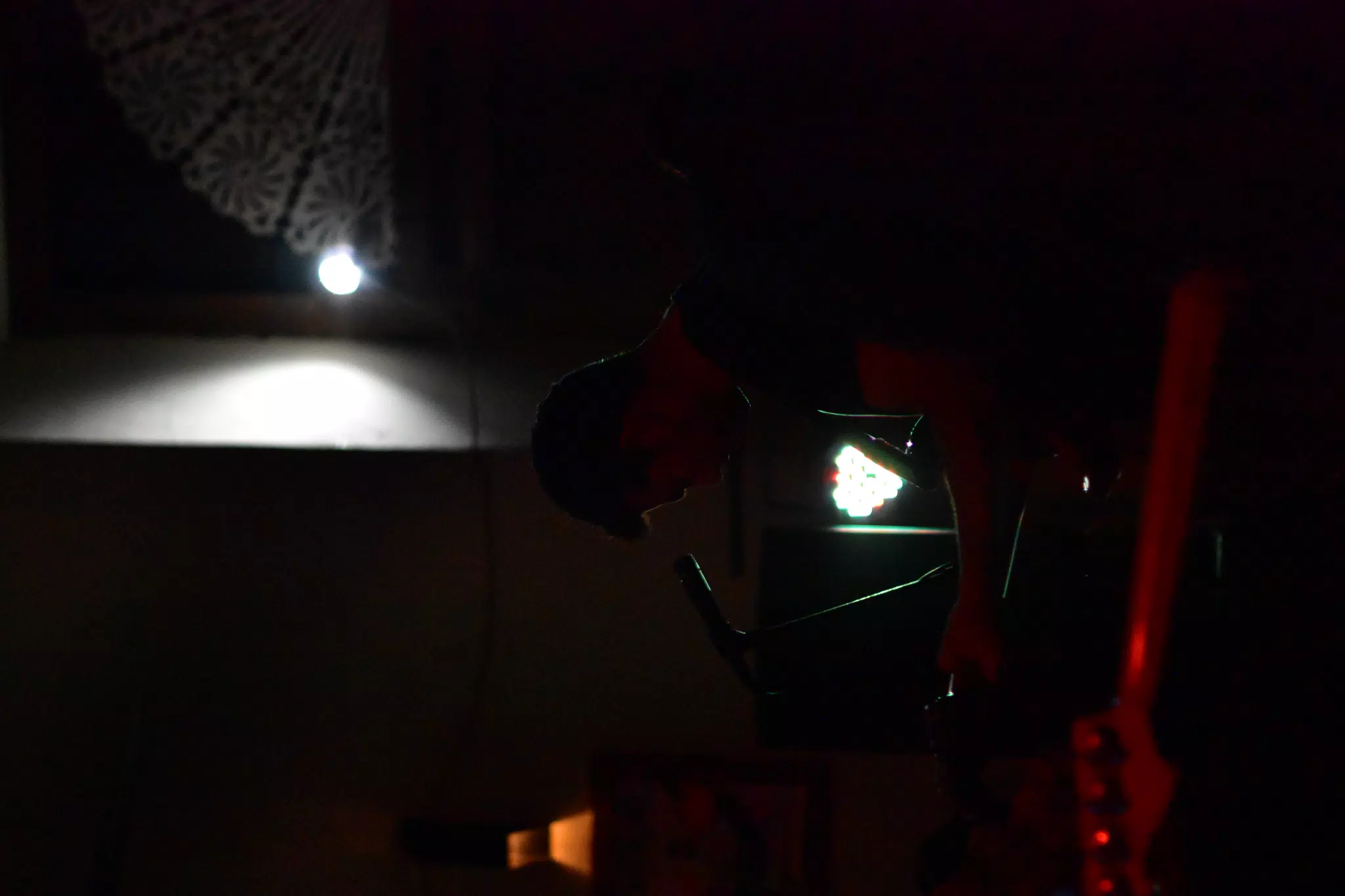 DSC_0196