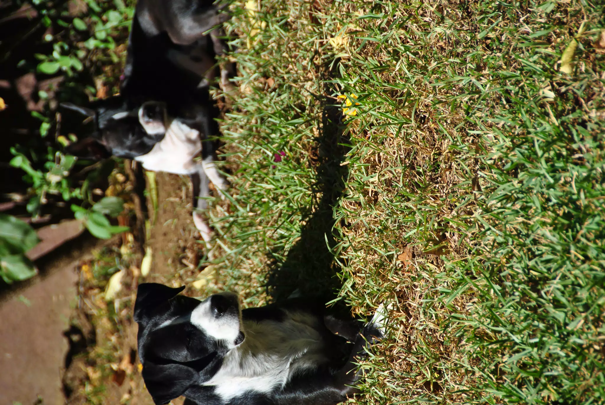 DSC_0269