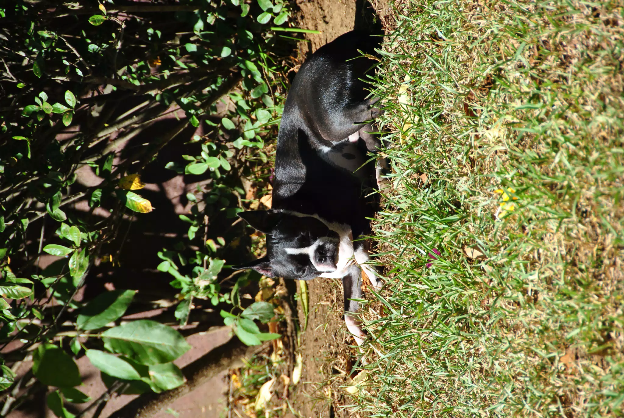 DSC_0271