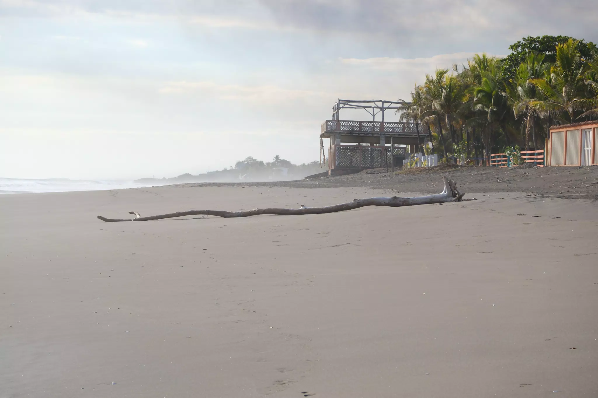 Driftwood on Playa Las Peñitas Beach, Nicaragua