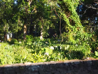 P4260585