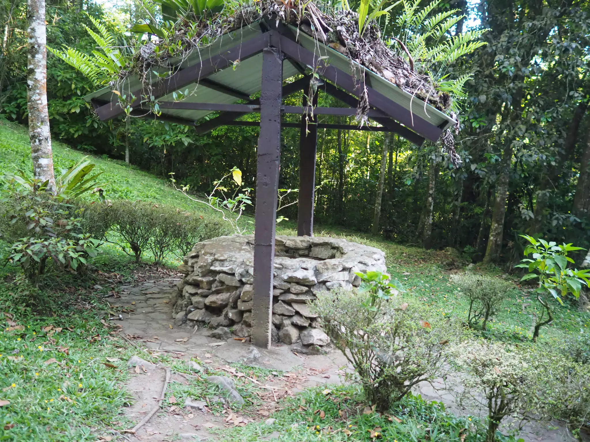 P4260577