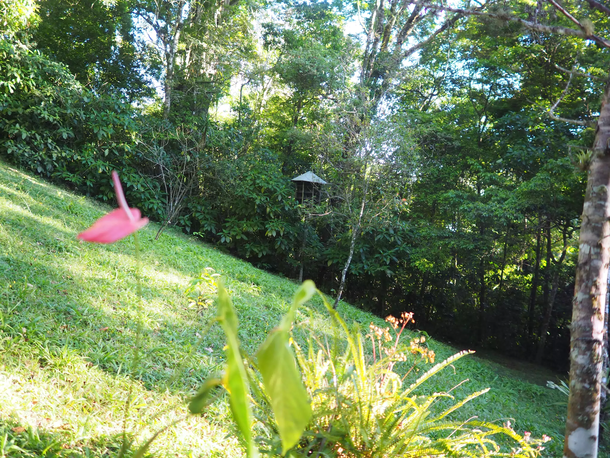 P4260575