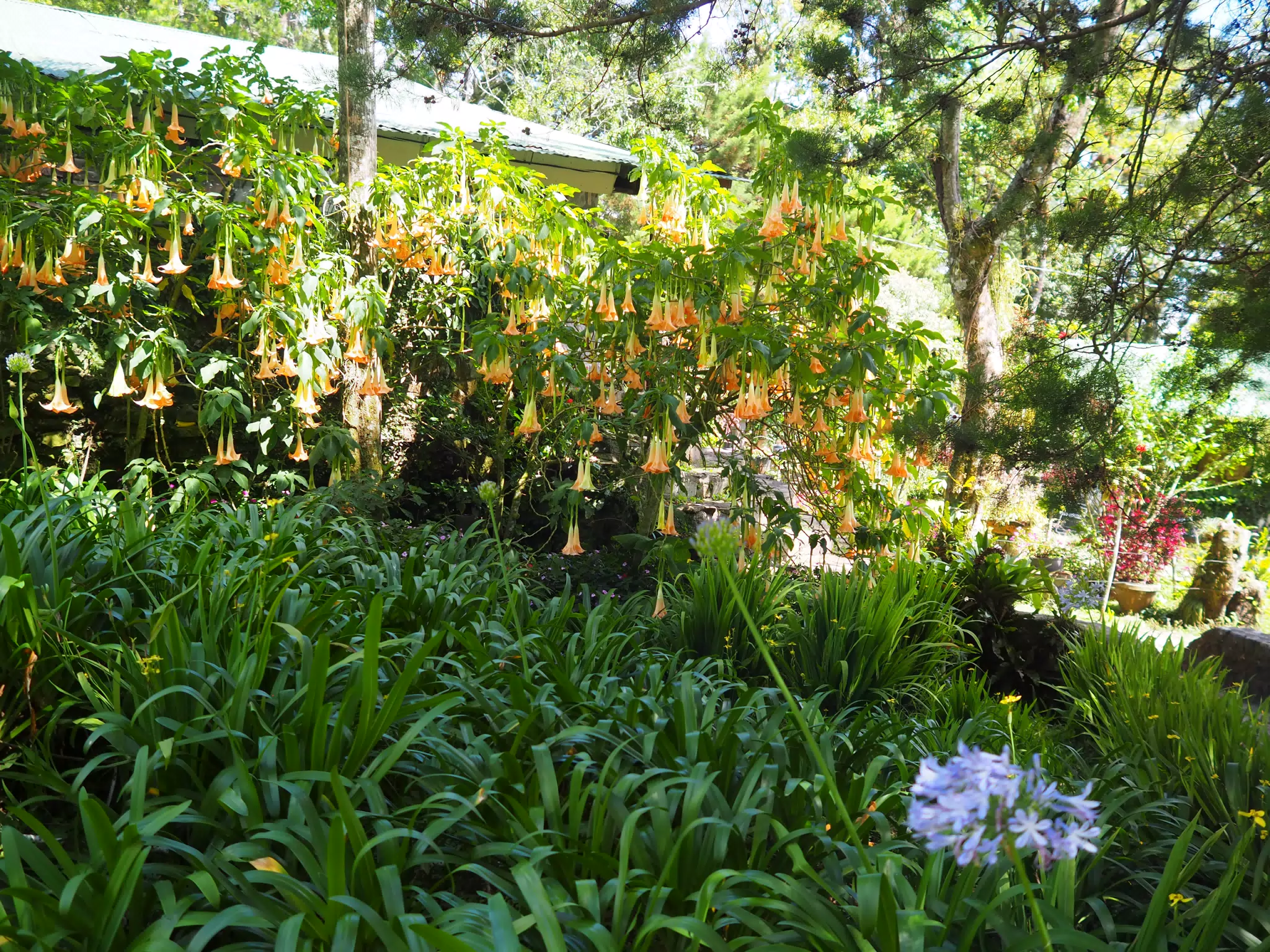 P4260501