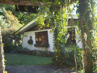 P4260596