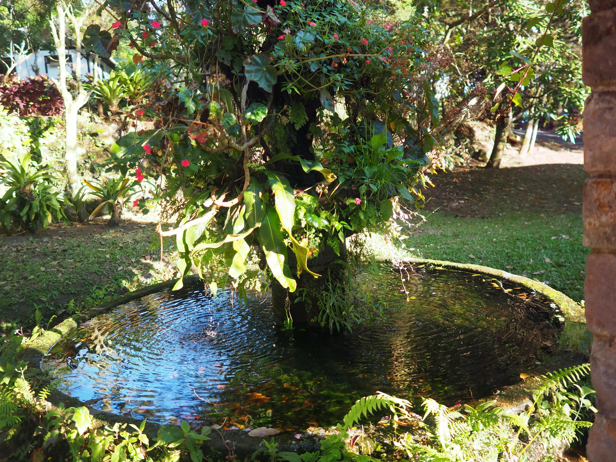 P4260595