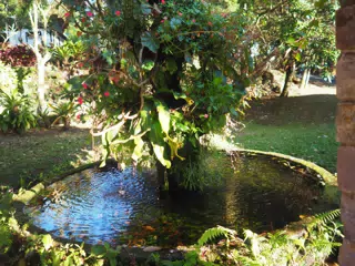 P4260595