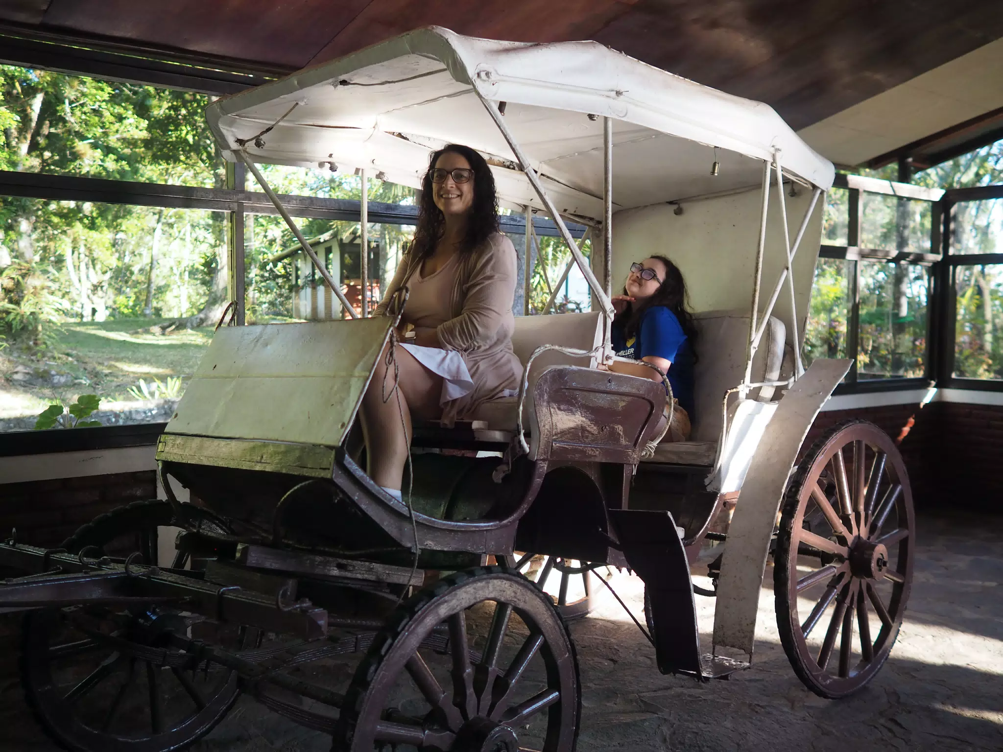 Dominica is Horse Carriage in Selva Negra