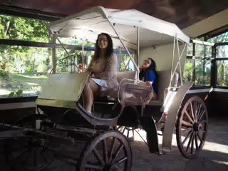 Dominica is Horse Carriage in Selva Negra